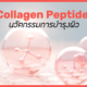 Collagen Peptide