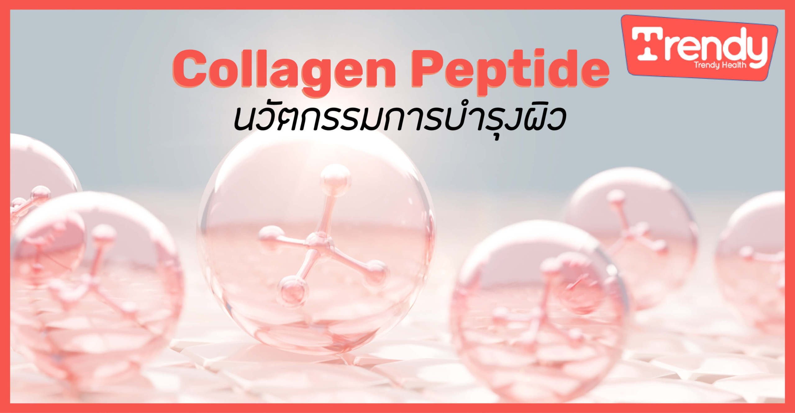 Collagen Peptide