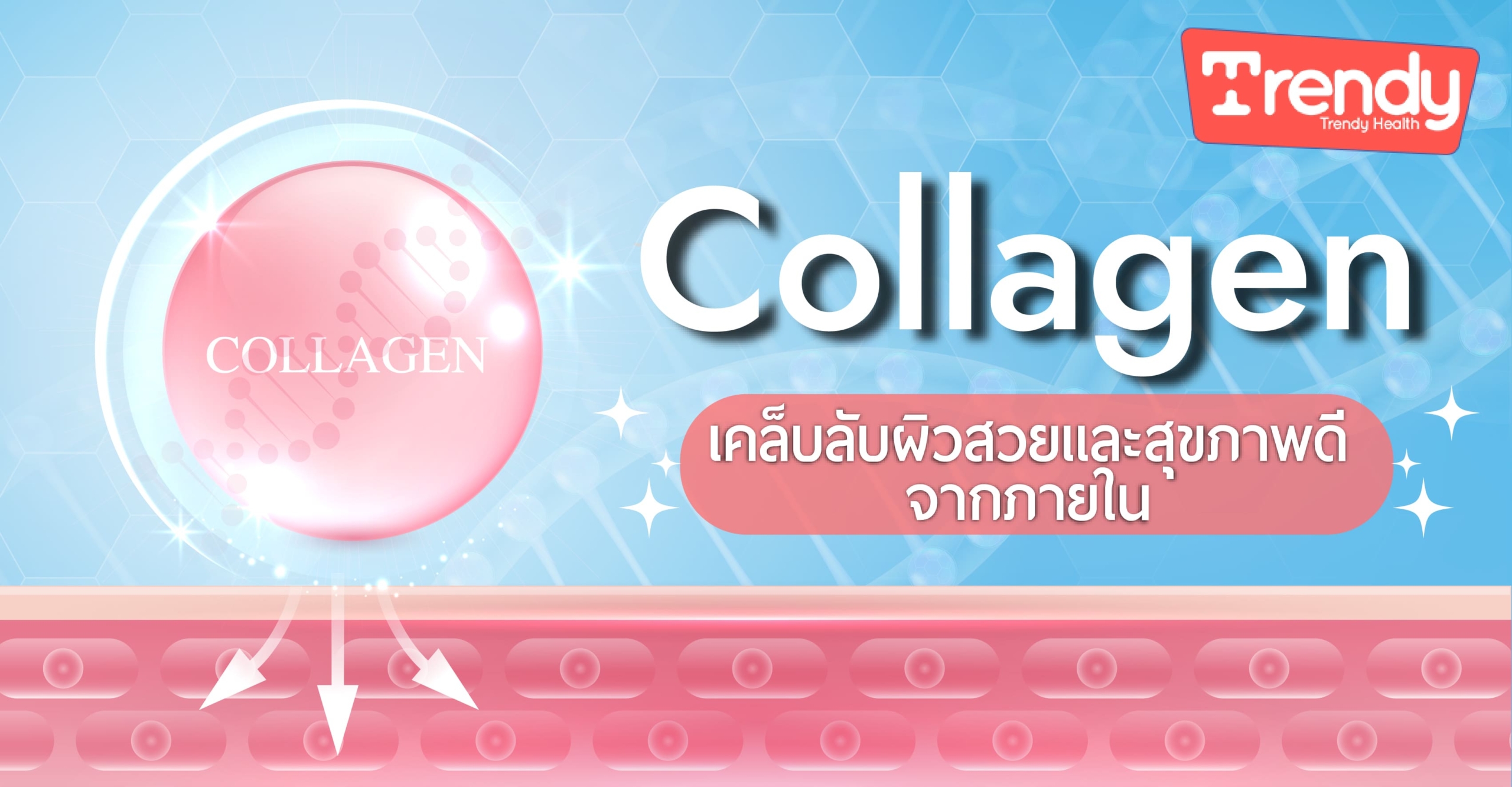  คอลลาเจน